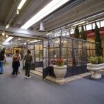 MODENA ANTIQUARIA
