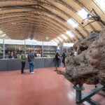 GOURMANDIA TREVISO 2019
