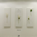 ARTE FIERA | BOLOGNA 05/2022
