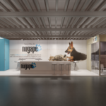 NUGAPE PET FOOD SL