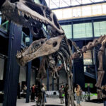 MOSTRA DINOSAURI PADOVA 2016