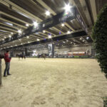 FIERA CAVALLI | VERONA 2016