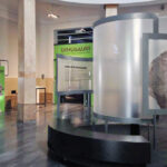 MOSTRA DINOSAURI PADOVA 2016