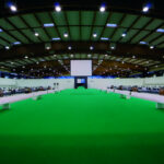 EUROPEAN CHAMPIONSHIP 10M BRESCIA 2011