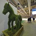 FIERA CAVALLI | VERONA 2011