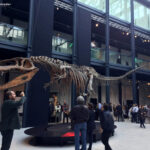 MOSTRA DINOSAURI PADOVA 2016