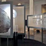 MOSTRA DINOSAURI PADOVA 2016