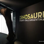 MOSTRA DINOSAURI PADOVA 2016