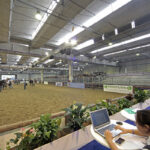 FIERA CAVALLI | VERONA 2014