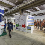 FIERA CAVALLI | VERONA 2018