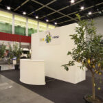 SEP PADOVA 2013