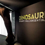 MOSTRA DINOSAURI PADOVA 2016