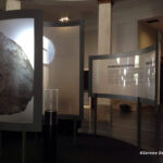 MOSTRA DINOSAURI PADOVA 2016