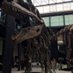 MOSTRA DINOSAURI PADOVA 2016