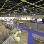 CONGRESSO ENDOCRINOLOGIA PADOVA 2013