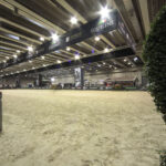 FIERA CAVALLI | VERONA 2016