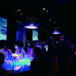 CENA DI GALA SARDEGNA | VERONA 2011