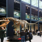MOSTRA DINOSAURI PADOVA 2016