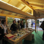 SEP PADOVA 2013