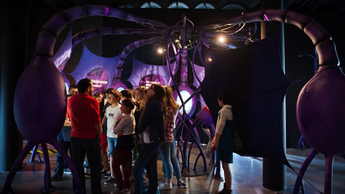 BRAIN – IL MONDO IN TESTA GENOVA 2013