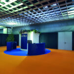 AUTOMOTIVE DEALER DAY VERONA 2009