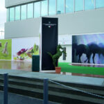 FIERA CAVALLI | VERONA 2009
