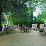 66^ MOSTRA DEL CINEMA | VENEZIA 2009
