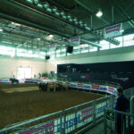 FIERA CAVALLI | VERONA 2007