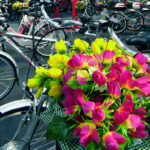 EXPO BICI PADOVA 2008