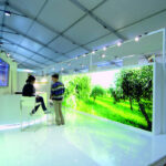 SOL & AGRIFOOD VERONA 2010