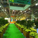 FIERA CAVALLI | VERONA 2006