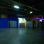 43° ANNUAL MEETING OF EASL MILANO 2008