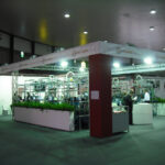 FIMAST | BRESCIA 2009