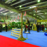 FIERA CAVALLI | VERONA 2006