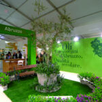 SOL & AGRIFOOD VERONA 2010